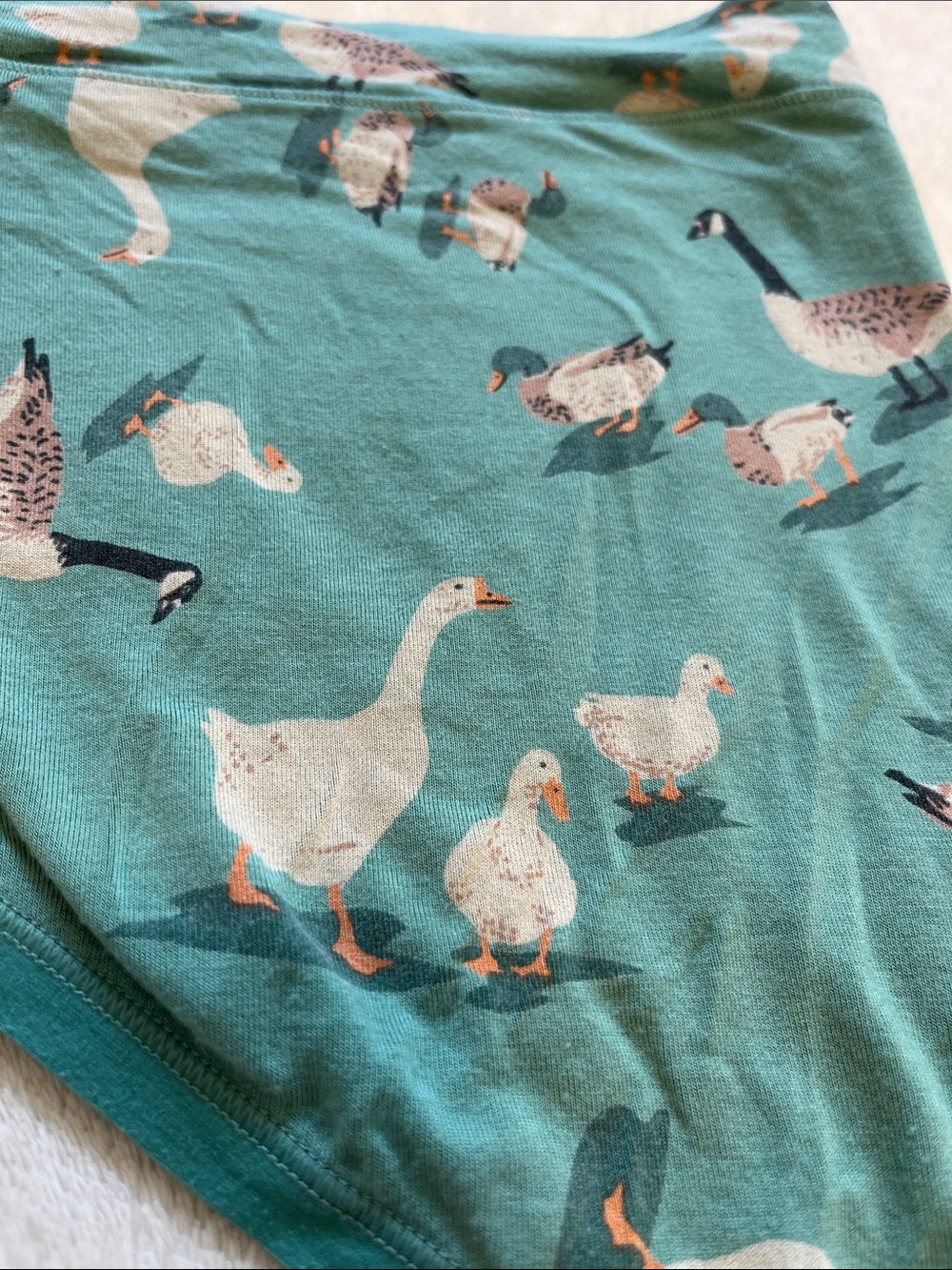 Duluth Trading Co Teal Goose & Duck Print Hipster Panties - Picture 2 of 8